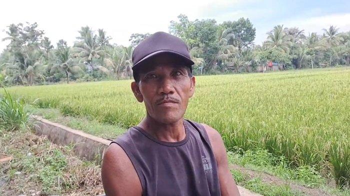 PETANI - Junaidi, petani asal Desa Timbung, Kecamatan Bungur, Kabupaten Tapin, Provinsi Kalimantan Selatan.