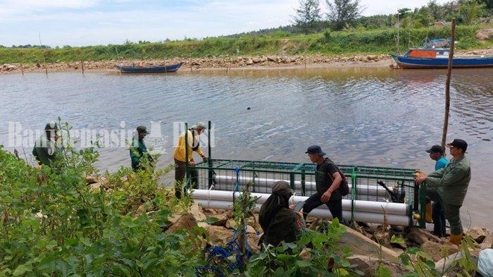 PETUGAS BKSDA Kalsel dibantu warga memasang alat jebak apung buaya dekat muara Sungai Tanjung-Batakan, Minggu (7/4) siang.