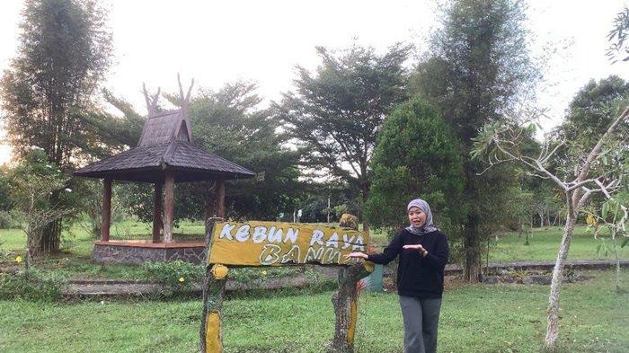 (PIKNIK-Berpiknik di Kebun Raya Banua, pengunjung tak perlu merogoh kocek terlalu dalam alias ekonomis. Wisata Kalsel: Biaya Berpiknik di Kebun Raya Banua, Pengunjung Hanya Perlu Bayar Tiket Masuk. (arsip 2025). 