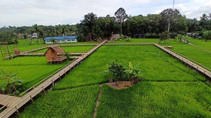 Pemandangan titian di atas sawah Pasar Budaya Racah Mampulang Desa Balida yang dipantau dari manara.