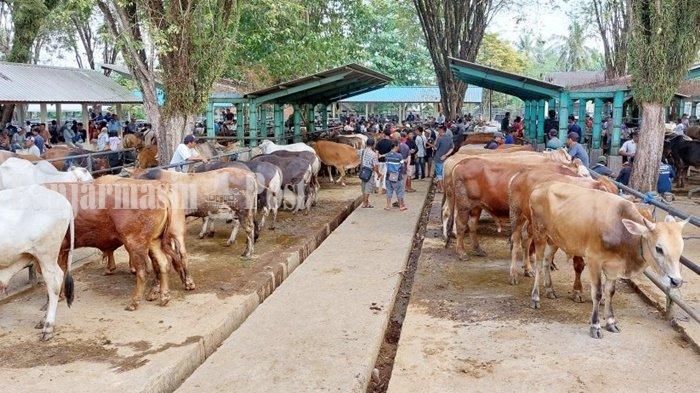 Pasar hewan di Saranghalang, Kabupaten Tanah Laut (Tala), Provinsi Kalimantan Selatan.