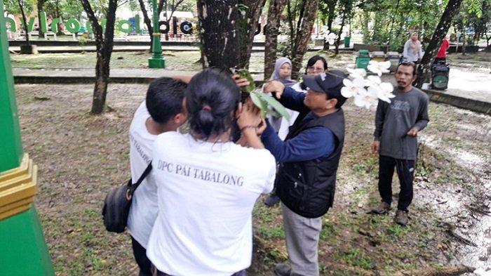 ANGREK BULAN - Penanaman anggrek bulan di RTH Tanjung Bersinar Park yang dijadikan kawasan konservasi. Penanaman dilakukan sekitar dua bulan lalu.
