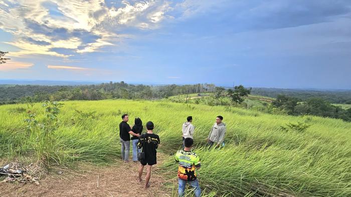 BERFOTO - Pengunjung Bukit Japan, Desa Mayanau, Kecamatan Tebing Tinggi, Kabupaten Balangan berfoto pada padang ilalang yang menjadi daya tarik Bukit Japan.