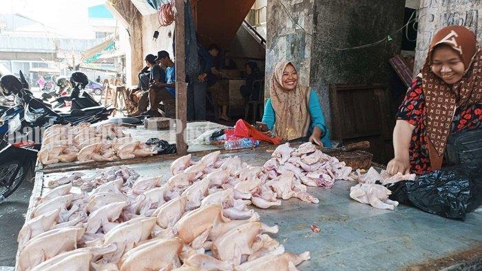 Daging Ayam Tiren Mitos, Fakta, dan Dampak pada Kesehatan Harga Ayam di Pasar Sentra Antasari Banjarmasin Melonjak Mencapai Rp 60 Ribu Per Ekor - Banjarmasinpost.co.id