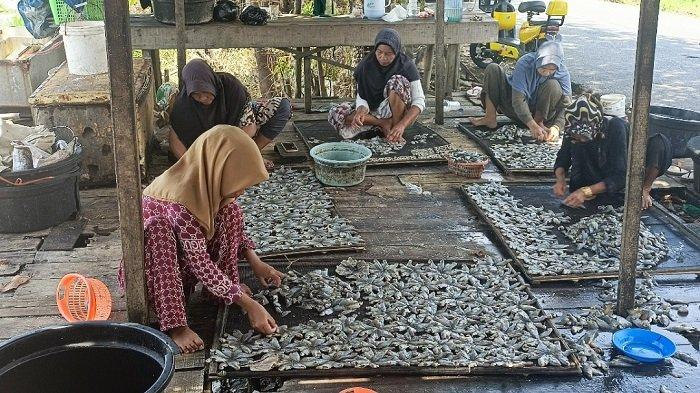 Menemukan Spot Ikan Sepat di Rawa Pinggir Jalan untuk Mancing Liar Menemukan Spot Ikan Sepat di Rawa Pinggir Jalan untuk Mancing Liar