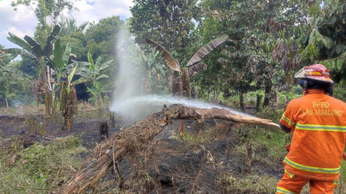 Api Menjalar di Lahan Kosong Batibati, Warga dan BPBD Siaga Penuh