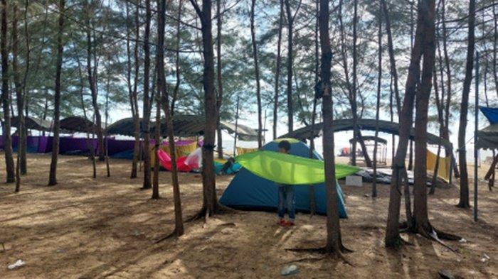 Pohon pinus di Pantai Batakan Baru memberikan keteduhan, juga semilir angin yang menyejukan.