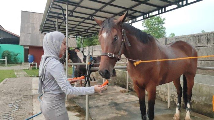 BERI KUDA WORTEL - Satu Kuda yang berparkir di tempat pamandian, Diya beri makan wortel.