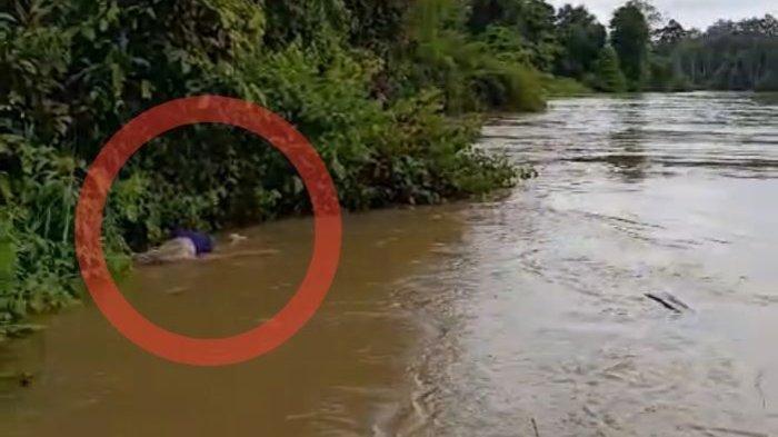 Sesosok jenazah pria di Kotim mengapung pada hulu sungai Desa Tanjung Jariangau, Kabupaten Kotawaringin Timur, Kalimantan Tengah, Senin (27/5/2024).