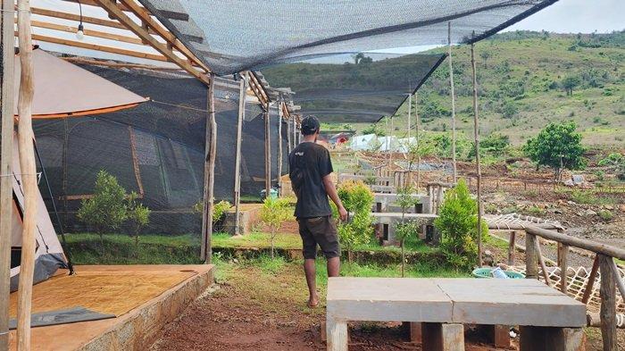 Suasana lokasi Kemah sambil Menikmati Alam di Bukit Pamaton.