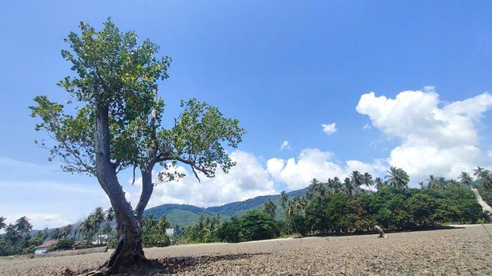 View Wisata Angin Pantai di Jalan Raya Berangas, Km 12, Desa Gedambaan, Kecamatan Pulau Laut Sigam, Kotabaru.