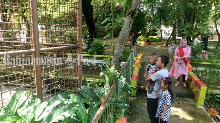 Foto Kebun Binatang Mini