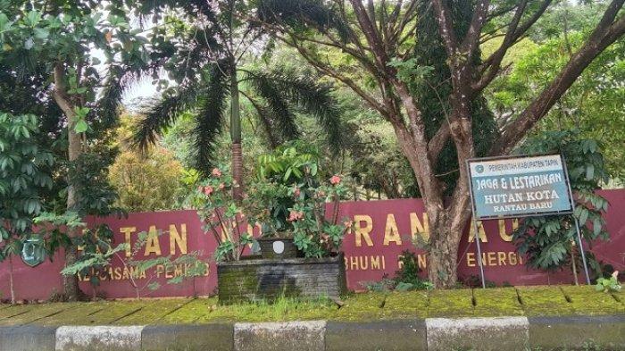 Hutan Kota Rantau menawarkan destinasi edukasi bagi warga Tapin. 