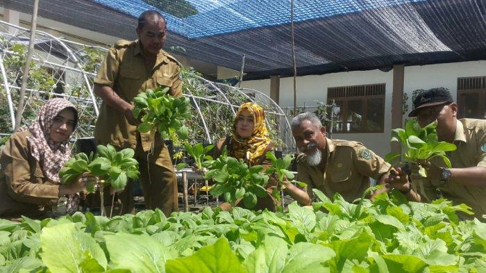 Ilustrasi visual hidroponik rakit apung untuk sayuran daun tips dan best practices untuk hasil optimal dalam hidroponik rakit apung untuk sayuran daun