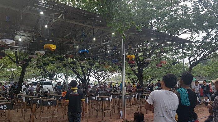 Bawa Latihan Setiap Pekan, Peserta Kicau Mania Rantau Ini Senang Burungnya  Semakin Senang Berkicau - Banjarmasinpost.co.id