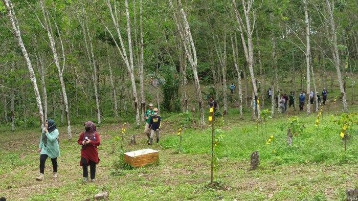 Kawasan Kebun Raya Balangan.
