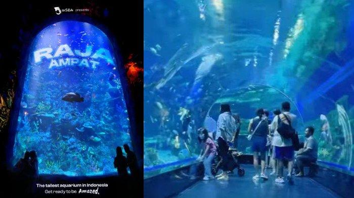 BXSea merupakan oceanarium terbaru dan terbesar yang terletak di Bintaro, Tangerang Selatan (Tangsel).