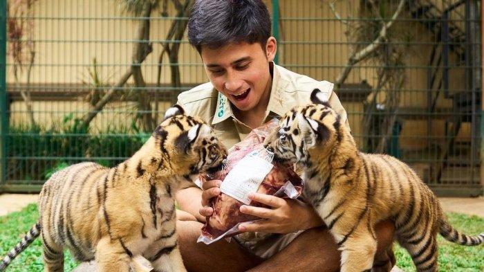 Foto Alshad Ahmad bersama dua anak harimaunya, Cenora dan Teona, melansir Instagram @alshadahmad. Cenora diketahui mati mendadak pada Senin, (24/7/2023).