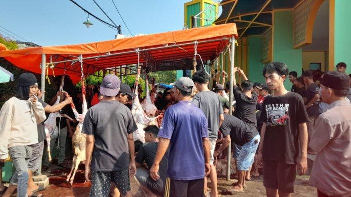 3 Contoh Undangan Panitia Qurban Idul Adha 2024 yang Singkat, Padat dan