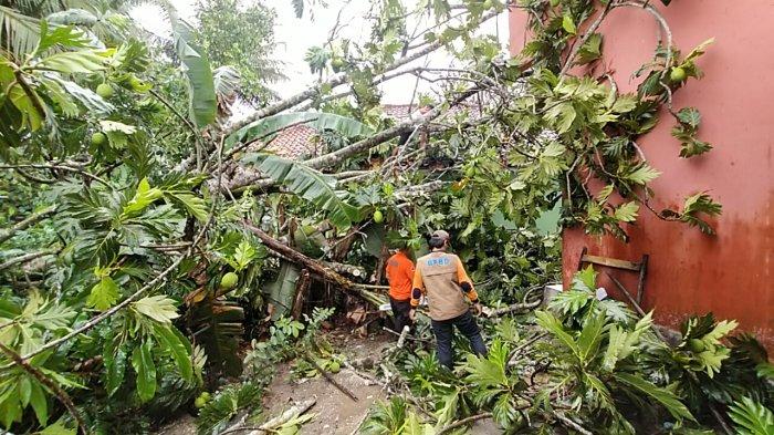 Akibat hujan deras dan angin kencang, rumah di Kampung Pasir Pilar, Lebak Banten roboh