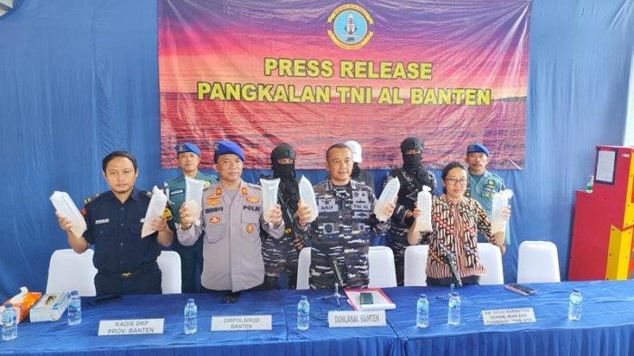 Pangkalan TNI Angkatan Laut (LANAL) Banten bersama tim satgas gabungan berhasil menggagalkan dan menangkap penyelundupan benih bening lobster (BBL) sebanyak 77.800 ekor.