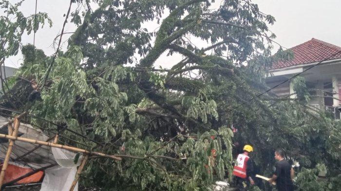 56 rumah warga di Kabupaten Lebak rusak usai dihantam angin kencang disertai hujan pada Sabtu (9/11/24) sekira pukul 14.30 WIB.