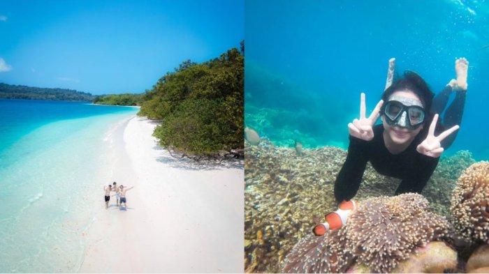 Kolase foto wisatawan trip ke Pulau Peucang, Taman Nasional Ujung Kulon, Kabupaten Pandeglang, Provinsi Banten.