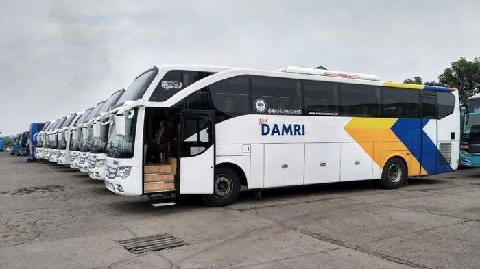 Jadwal jam operasional, tarif dan rute bus DAMRI Bandara Soekarno-Hatta dari wilayah Pandeglang, Lebak, Kota Serang dan Merak, per hari ini pada tahun 2024.
