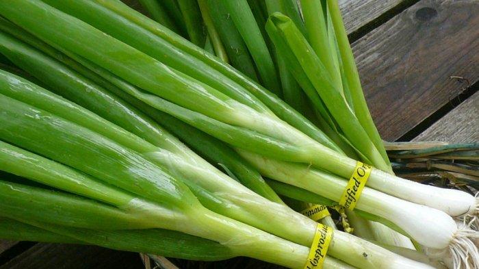 Daun bawang