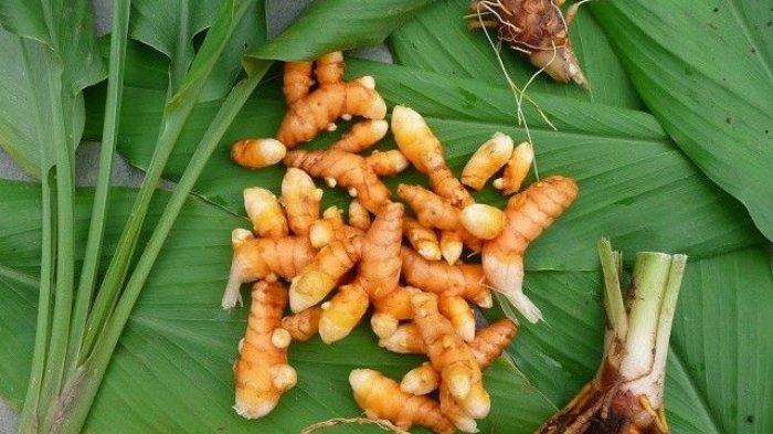 dr Zaidul Akbar memberikan tips dan resep agar terlihat awet muda dan terhindar dari penuaan dengan bahan alami.