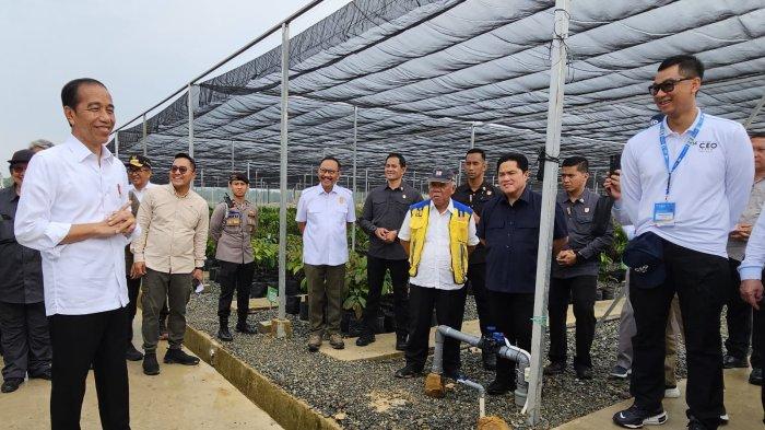 Presiden Republik Indonesia Joko Widodo (kiri) bersama jajaran Menteri, Direktur Utama PLN Darmawan Prasodjo (kanan) dan 99 CEO dari berbagai perusahaan saat mengunjungi Persemaian Mentawir di Sepaku, Penajam Paser Utara, Kamis (02/11/2023). Persemaian Mentawir Ini adalah persemaian tumbuhan yang disiapkan untuk menghijaukan Ibu Kota Nusantara dan sekitarnya.