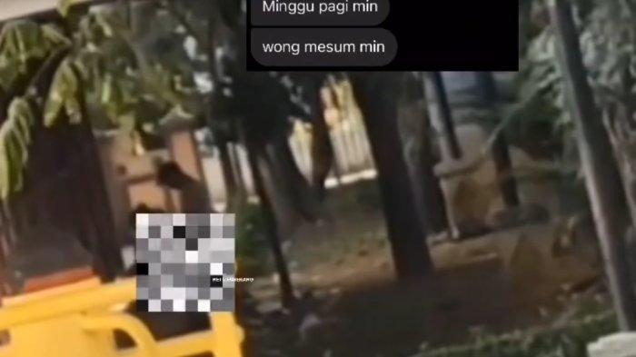 Viral sebuah video di media sosial diduga pasangan muda-mudi berbuat mesum di Alun-alun Kota Serang.