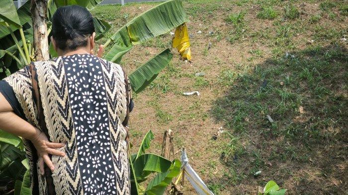 Jejak Baru Kasus Alvaro: Tulang Rahang Bawah Ditemukan di Jembatan Cilalay Bogor