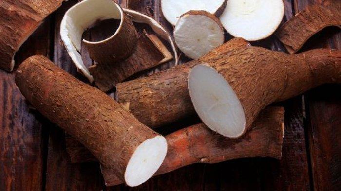 Ubi kayu/singkong