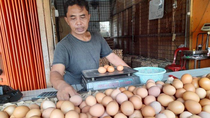 Update harga telur ayam per hari ini Rabu 25 Oktober 2025, untuk wilayah Provinsi Banten Rp26.200 per kg.