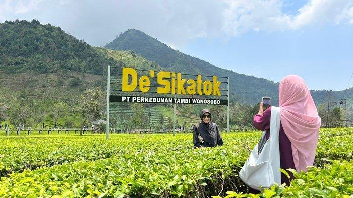 Pengunjung foto di bawah penanda tempat wisata De' Sikatok di perkebunan teh Tambi, Wonosobo, Minggu (15/9/2024).