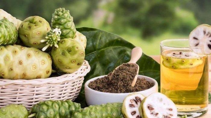 Manfaat Buah Mengkudu untuk Obat Asam Lambung dan Cara Mengolahnya - Tribunbanyumas.com