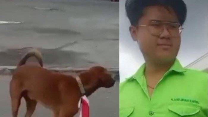 Seorang pria di Kecamatan Pinggir, Kabupaten Bengkalis, Riau, diamankan oleh pihak kepolisan karena memasangkan bendera merah putih ke leher anjing