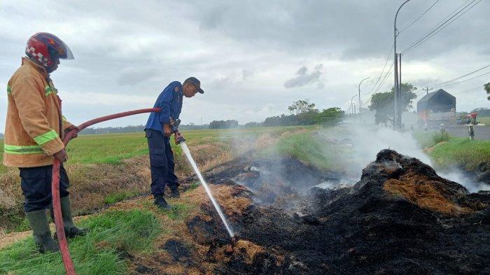 Petugas Pos Damkar Kroya saat memadamkan api sisa pembakaran jerami di Desa Danasri Kidul, Kecamatan Nusawungu, Cilacap, Selasa (23/4/2024) sore. Dalam upaya pemadaman tersebut, petugas menghabiskan 4000 liter air.