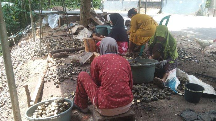Proses pembuatan kolang kaling di Desa Ujungbarang, Kecamatan Majenang, Cilacap. Desa tersebut menjadi satu sentra produksi kolang kaling di Cilacap. Uniknya, produksi kolang kaling biasanya dilakukan warga setempat di pinggir jalan provinsi jalur Brebes-Cilacap.