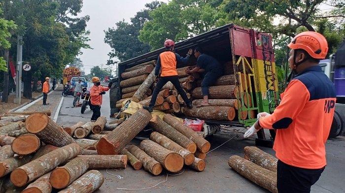Personel BPBD mengambil muatan kayu agar bisa mengevakuasi korban dan kendaraan roda tiga yang tertimpa truk bermuatan kayu di Jalan Perintis Kemerdekaan, tepatnya di dekat Makodam IV/Diponegoro, Kecamatan Banyumanik, Kota Semarang, Kamis (22/8/2024) pagi. Dalam kecelakaan ini, dua orang dikabarkan meninggal.