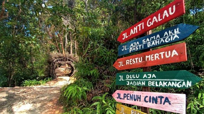 Puncak Beliung yang berlokasi di Sekupang bisa menjadi referensi bagi yang ingin berwisata sambil memacu adrenalin di Batam.
