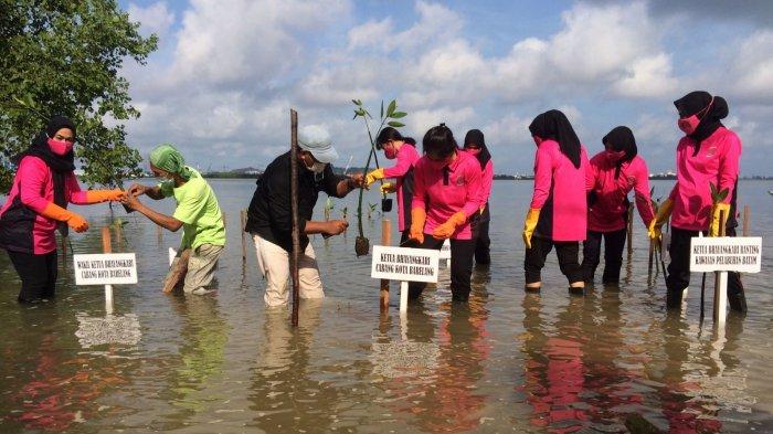 Anggota Bhayangkari Cabang Barelang bersama Bhayangkari Ranting KKP melakukan penanaman Mangrove di pantai Marina Sekupang Batam. Pantai Marina Batam menjadi pilihan favorit warga untuk berkemah.