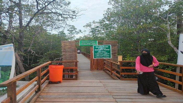 WISATA NATUNA - Wisatawan saat berkunjung ke Wisata Mangrove Pering di Kelurahan Bandarsyah, Kecamatan Bunguran Timur, Kabupaten Natuna, Provinsi Kepulauan Riau.