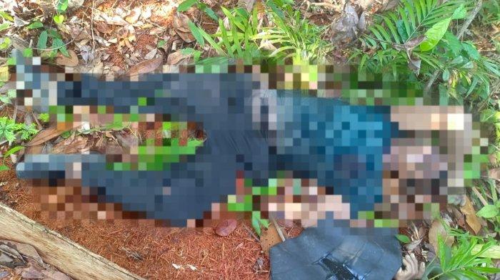 JASA PRIA - Jasad seorang pria ditemukan di hutan Desa Musai, Kecamatan Lingga, Kabupaten Lingga, Provinsi Kepulauan Riau, Kamis (22/5/2025) sore.