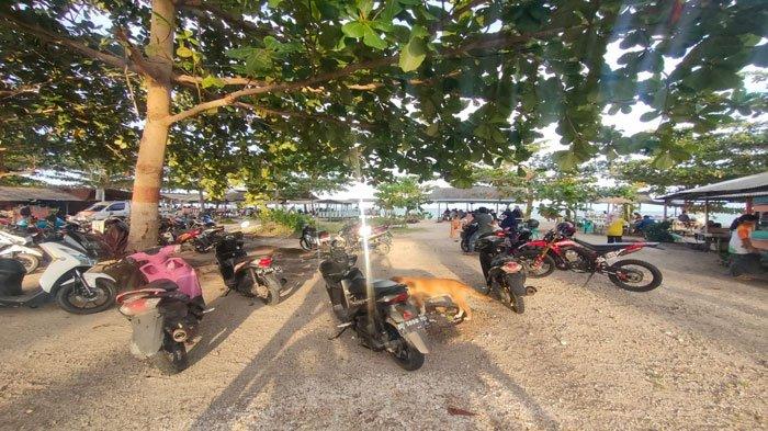 Jumlah pengunjung Pantai Tanjung di Natuna membeludak saat momen libur Natal dan Tahun Baru, Senin (25/12/2023).