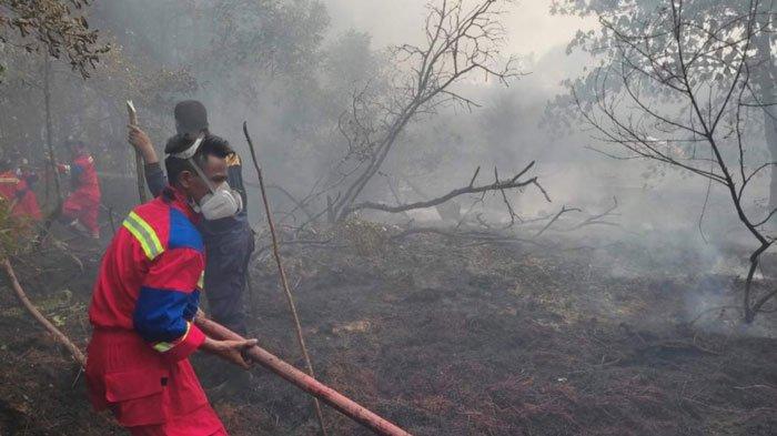 Warga Sambas membersihkan area rawan karhutla