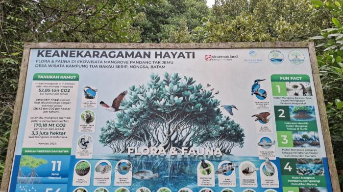 Beberapa jenis mangrove dan satwa yang berada di Bakau Serip