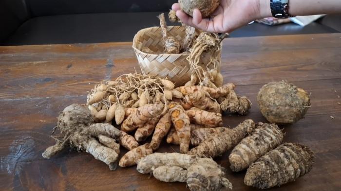 Bahan-bahan untuk pembuatan jamu dan wedhang di Griya Jamu Batam