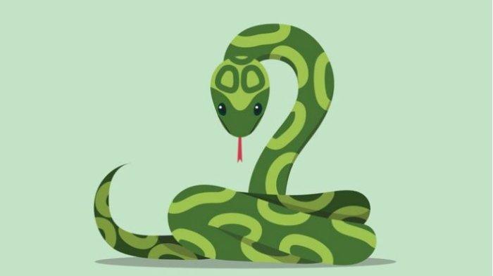Ilustrasi Shio Ular dari Freepik.